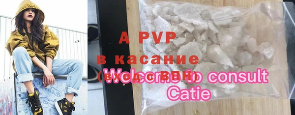 стафф Алзамай