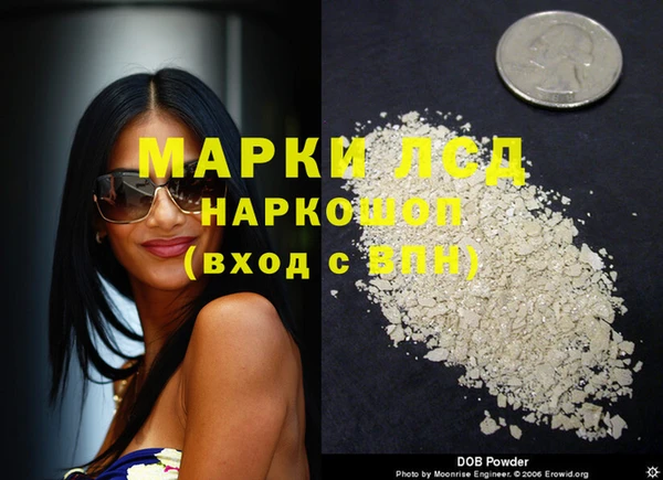 стафф Алзамай