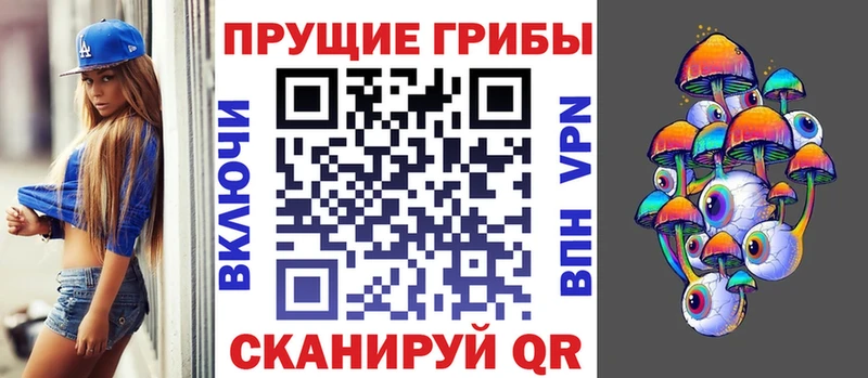 Галлюциногенные грибы MAGIC MUSHROOMS  наркота  Чистополь 
